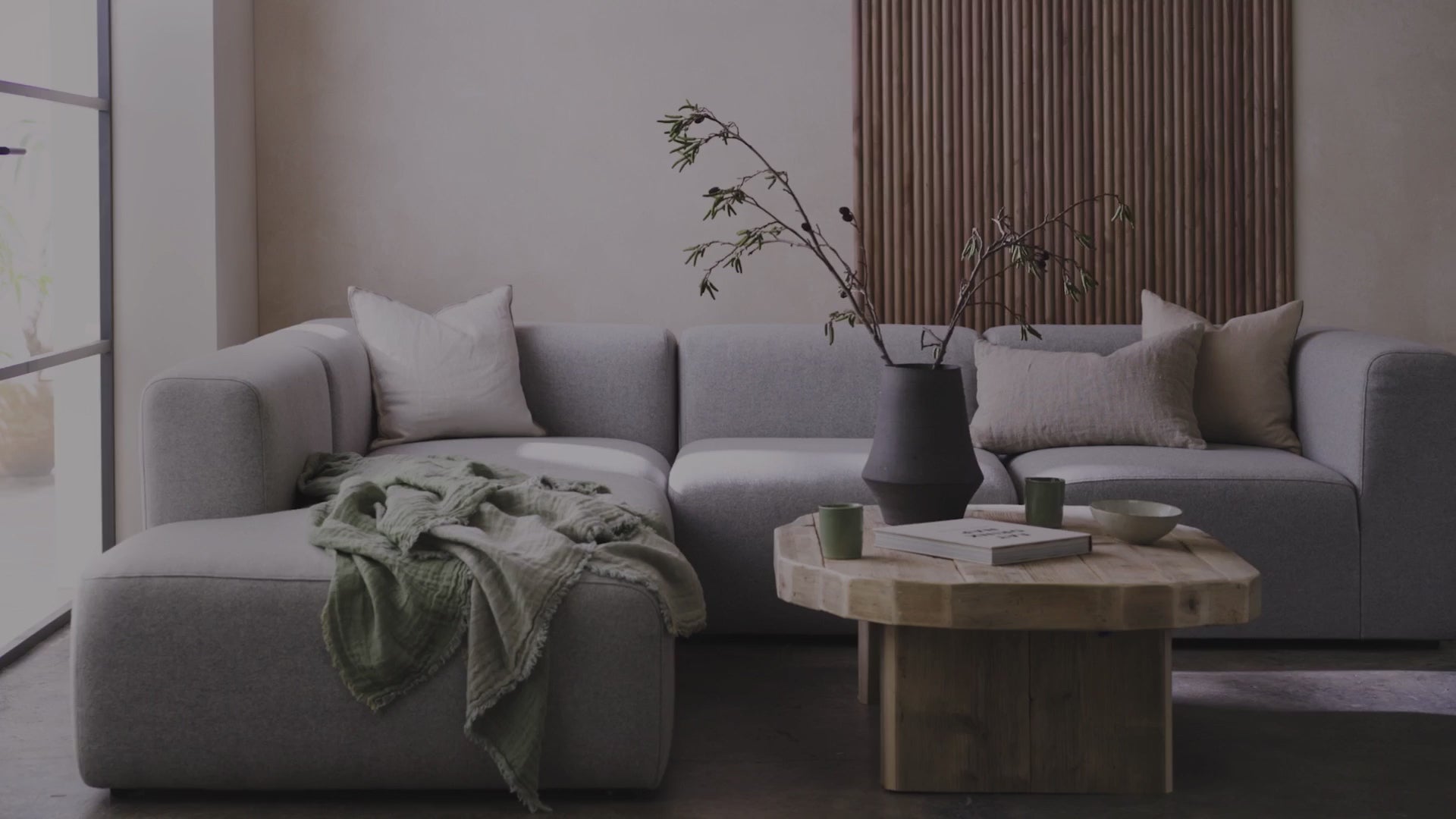 Carica il video: 